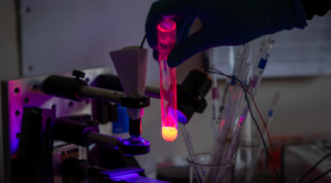 Gentechnik Workshop – vom Gen zum Protein