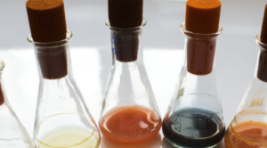 Neue Antibiotika – Der geniale Baukasten der Mikroben