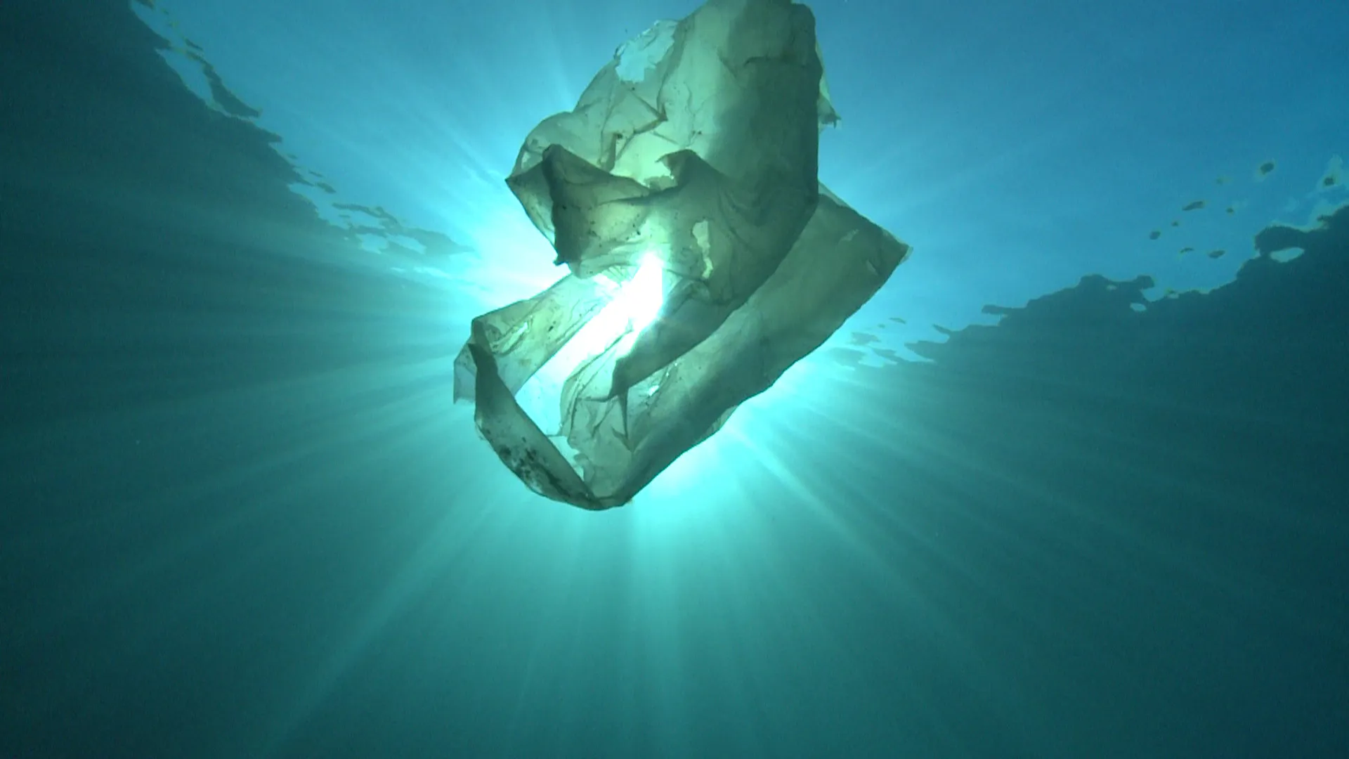 Plastikmüll zerlegt sich mit der Zeit in Millionen von Mikroplastikteilchen und verschmutzt so Umwelt und Nahrungsketten. Foto: Martin Koch