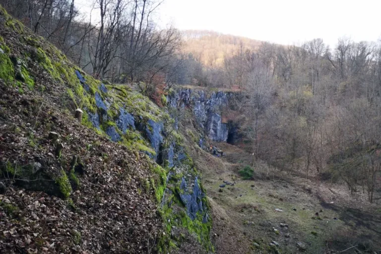 Ein neues Zuhause für Fledermäuse, Reptilien und Co. – Der alte Erdbacher Steinbruch wurde freigelegt