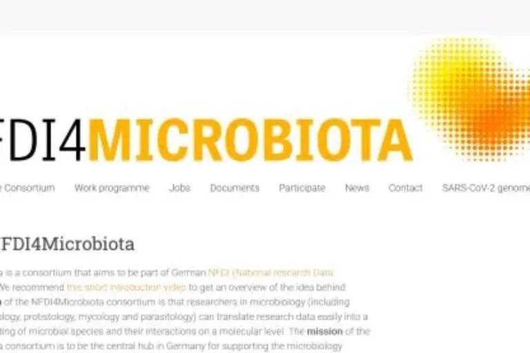 NFDI4Microbiota erfolgreich in der zweiten NFDI-Runde