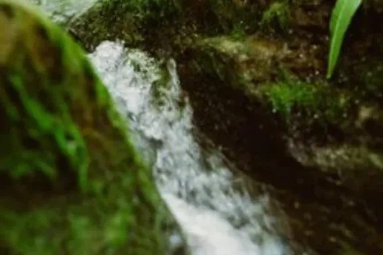 100 Wilde Bäche für Hessen stehen fest