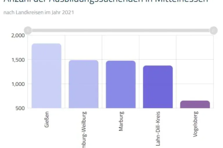 Ausbildungsmarkt-Bericht für die Region Mittelhesen