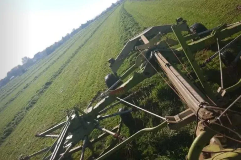 Photovoltaik, Digitalisierung, Pflanzenschutz und Regionalplanung: Das Jahresgespräch zwischen RP und Kreisbauernverbänden