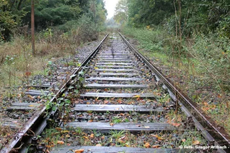 Weg für Schienengüterverkehr nach Mainzlar geebnet