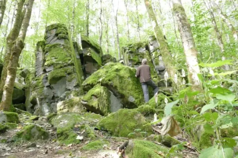Der Geopark Vulkanregion Vogelsberg richtet die 24. Internationale Jahrestagung GeoTop aus