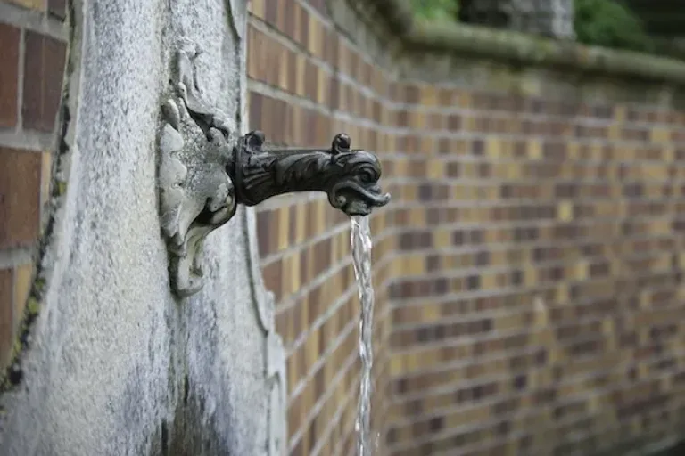 Durchschnittlicher Pro-Kopf-Verbrauch sinkt um zwei auf 115 Liter Wasser am Tag
