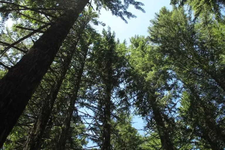 So machen wir’s! – Wettbewerb der Klima-Kommunen startet