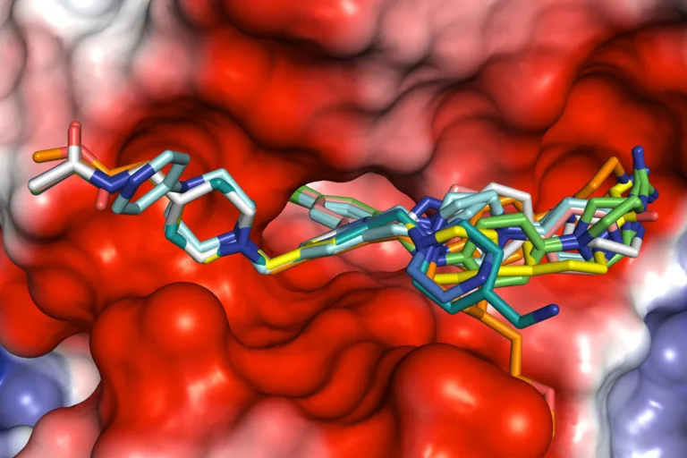 EU-Forschungsprojekt „Vigilant“: Neue Breitbandmedikamente gegen Viren
