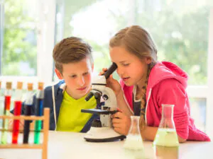 Mikroskopierwerkstatt – Entdecke den Mikrokosmos!